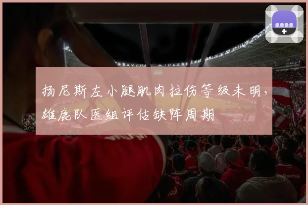 扬尼斯左小腿肌肉拉伤等级未明，雄鹿队医组评估缺阵周期